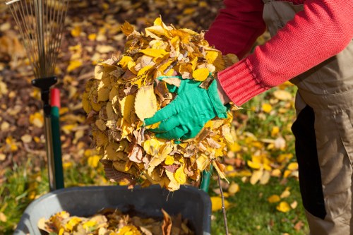 Professional team clearing garden debris in Marylebone